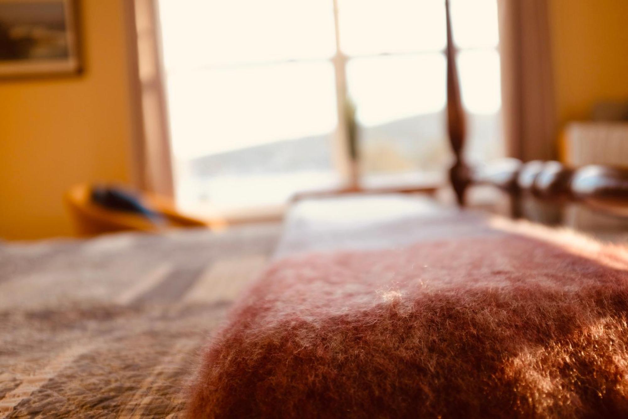 The Bread And Cheese Country Inn Bay Bulls Екстериор снимка